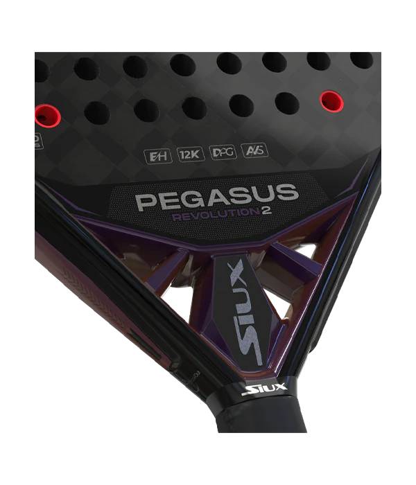 Pala Siux Pegasus Revolution 2