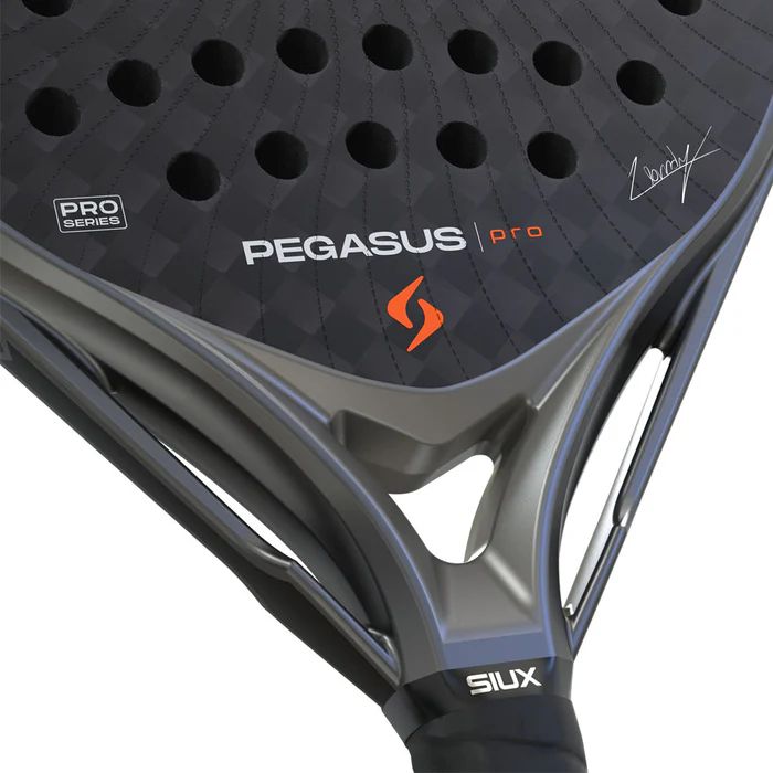 Pala Siux Pegasus Pro 2026 Storm Grey